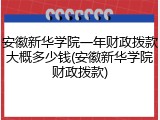 安徽新华学院一年财政拨款大概多少钱(安徽新华学院财政拨款)