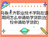 乌鲁木齐职业技术学院在读期间怎么申请助学贷款(在校申请助学贷款)
