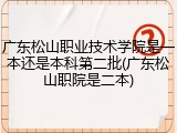 广东松山职业技术学院是一本还是本科第二批(广东松山职院是二本)