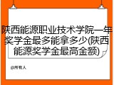 陕西能源职业技术学院一年奖学金最多能拿多少(陕西能源奖学金最高金额)