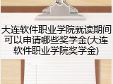 大连软件职业学院就读期间可以申请哪些奖学金(大连软件职业学院奖学金)
