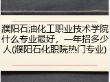 濮阳石油化工职业技术学院什么专业最好，一年招多少人(濮阳石化职院热门专业)