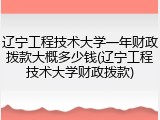 辽宁工程技术大学一年财政拨款大概多少钱(辽宁工程技术大学财政拨款)