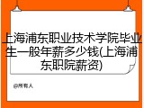 上海浦东职业技术学院毕业生一般年薪多少钱(上海浦东职院薪资)