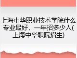 上海中华职业技术学院什么专业最好，一年招多少人(上海中华职院招生)