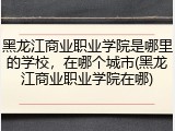 黑龙江商业职业学院是哪里的学校，在哪个城市(黑龙江商业职业学院在哪)