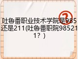 吐鲁番职业技术学院是985还是211(吐鲁番职院985211？)
