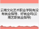 云南文化艺术职业学院有没有就业指导，好就业吗(云南艺职就业指导)