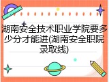 湖南安全技术职业学院要多少分才能进(湖南安全职院录取线)