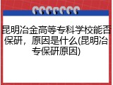 昆明冶金高等专科学校能否保研，原因是什么(昆明冶专保研原因)