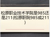 松原职业技术学院是985还是211(松原职院985或211)