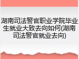 湖南司法警官职业学院毕业生就业大致去向如何(湖南司法警官就业去向)