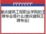 重庆建筑工程职业学院的王牌专业是什么(重庆建院王牌专业)