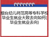 烟台幼儿师范高等专科学校毕业生就业大致去向如何(毕业生就业去向)