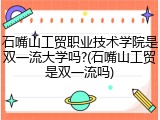 石嘴山工贸职业技术学院是双一流大学吗?(石嘴山工贸是双一流吗)