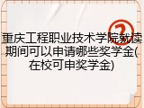 重庆工程职业技术学院就读期间可以申请哪些奖学金(在校可申奖学金)