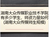 湖南大众传媒职业技术学院有多少学生，师资力量如何(湖南大众传媒师生规模)