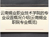 云南锡业职业技术学院的专业设置概况介绍(云南锡业职院专业概览)