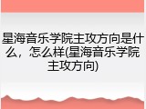 星海音乐学院主攻方向是什么，怎么样(星海音乐学院主攻方向)