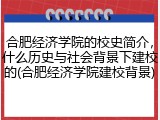 合肥经济学院的校史简介，什么历史与社会背景下建校的(合肥经济学院建校背景)