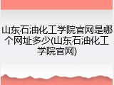 山东石油化工学院官网是哪个网址多少(山东石油化工学院官网)