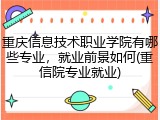 重庆信息技术职业学院有哪些专业，就业前景如何(重信院专业就业)