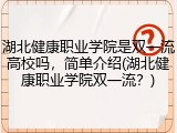 湖北健康职业学院是双一流高校吗，简单介绍(湖北健康职业学院双一流？)