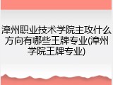 漳州职业技术学院主攻什么方向有哪些王牌专业(漳州学院王牌专业)