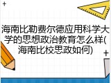 海南比勒费尔德应用科学大学的思想政治教育怎么样(海南比校思政如何)