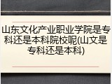 山东文化产业职业学院是专科还是本科院校呢(山文是专科还是本科)