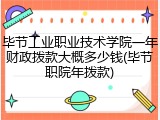 毕节工业职业技术学院一年财政拨款大概多少钱(毕节职院年拨款)