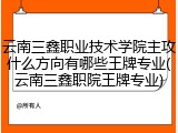 云南三鑫职业技术学院主攻什么方向有哪些王牌专业(云南三鑫职院王牌专业)
