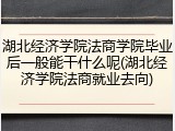 湖北经济学院法商学院毕业后一般能干什么呢(湖北经济学院法商就业去向)