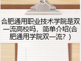 合肥通用职业技术学院是双一流高校吗，简单介绍(合肥通用学院双一流？)