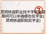 昆明铁道职业技术学院就读期间可以申请哪些奖学金(昆明铁道职院奖学金)
