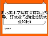 湖北美术学院有没有就业指导，好就业吗(湖北美院就业如何)