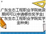 广东生态工程职业学院就读期间可以申请哪些奖学金(广东生态工程职业学院奖学金种类)
