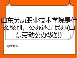 山东劳动职业技术学院是什么级别，公办还是民办(山东劳动公办级别)