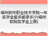 福州软件职业技术学院一年奖学金最多能拿多少(福州软院奖学金上限)