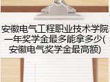 安徽电气工程职业技术学院一年奖学金最多能拿多少(安徽电气奖学金最高额)