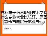 吉林电子信息职业技术学院什么专业就业比较好，原因是啥(吉电院好就业专业)
