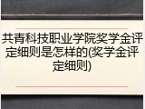 共青科技职业学院奖学金评定细则是怎样的(奖学金评定细则)