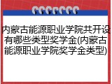 内蒙古能源职业学院共开设有哪些类型奖学金(内蒙古能源职业学院奖学金类型)