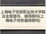 上海电子信息职业技术学院含金量量吗，值得报吗(上海电子信息值得报吗)