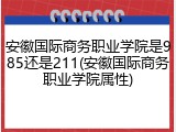 安徽国际商务职业学院是985还是211(安徽国际商务职业学院属性)