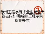 徐州工程学院毕业生就业大致去向如何(徐州工程学院就业去向)