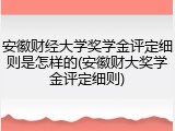 安徽财经大学奖学金评定细则是怎样的(安徽财大奖学金评定细则)
