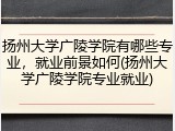 扬州大学广陵学院有哪些专业，就业前景如何(扬州大学广陵学院专业就业)