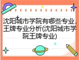 沈阳城市学院有哪些专业，王牌专业分析(沈阳城市学院王牌专业)