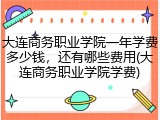 大连商务职业学院一年学费多少钱，还有哪些费用(大连商务职业学院学费)